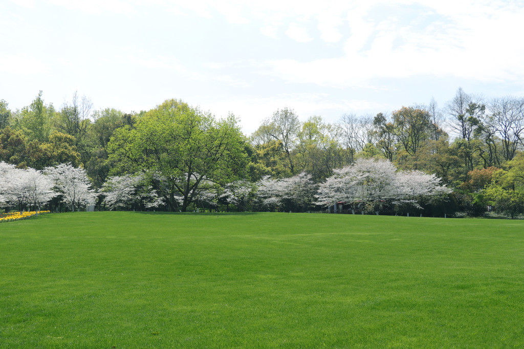 今日吃瓜黑料入口