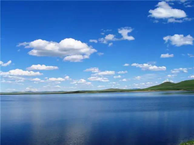 手机影视 艺术片