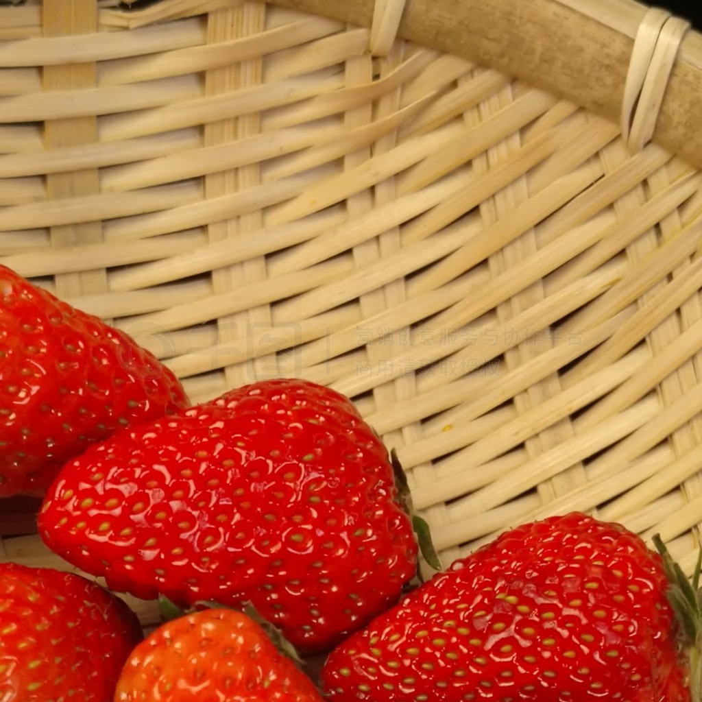 mina视频 视频用于开发服务器应用