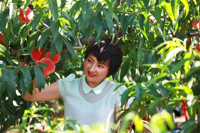 兜兜甜七七 其对健康甜度的兜兜甜把控