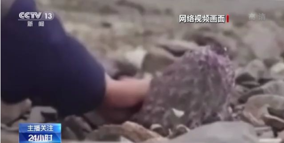 欧美 国产 亚洲视频