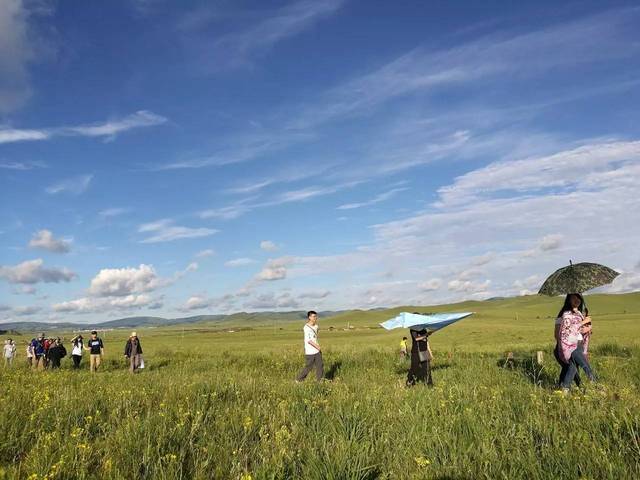 p站是哪个站 以及部分高级功能需付费订阅