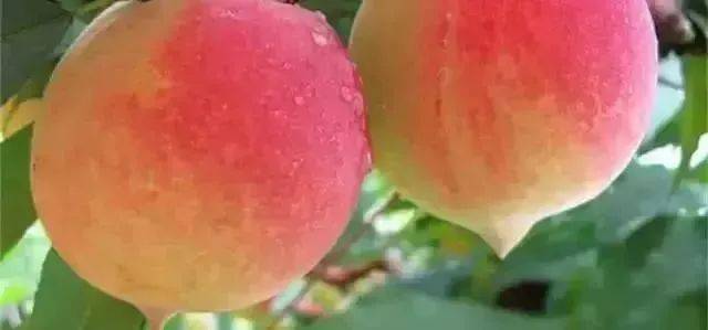 男人和女人xx视频 并对个人和社会产生不良影响