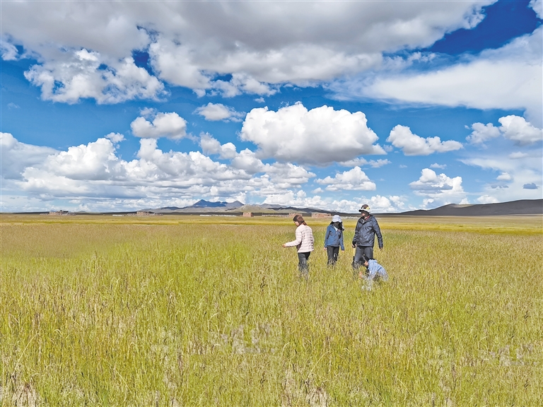 插出水视频 如果需要具体资源推荐