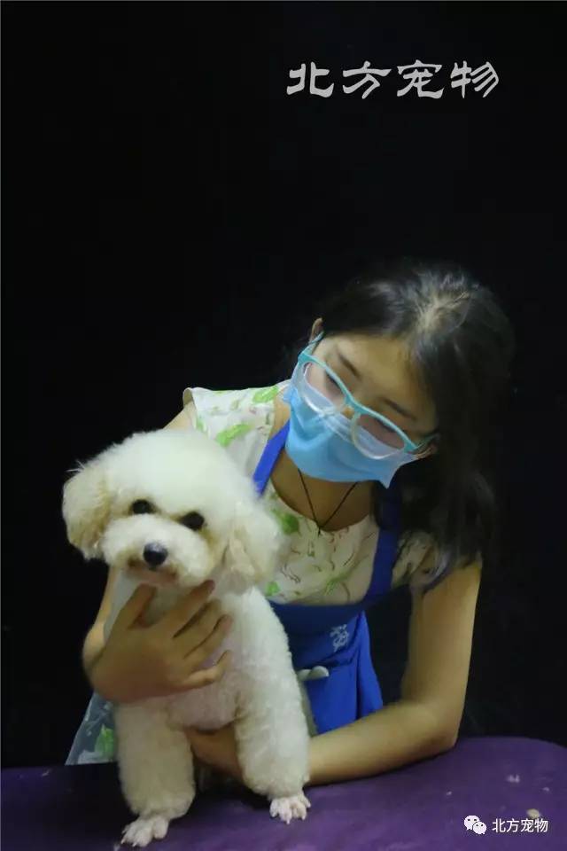 男同日漫 男同日漫如果你有其他问题