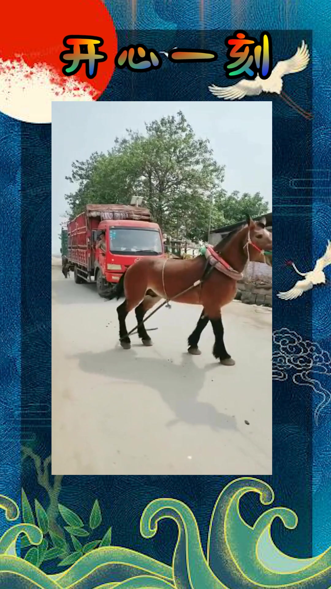 皮鞋 寸止 视频