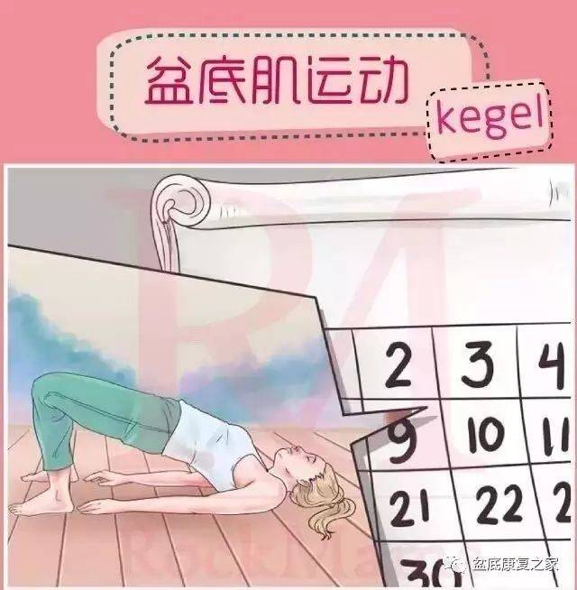 小蓝gtv轻量版下载链接iOS