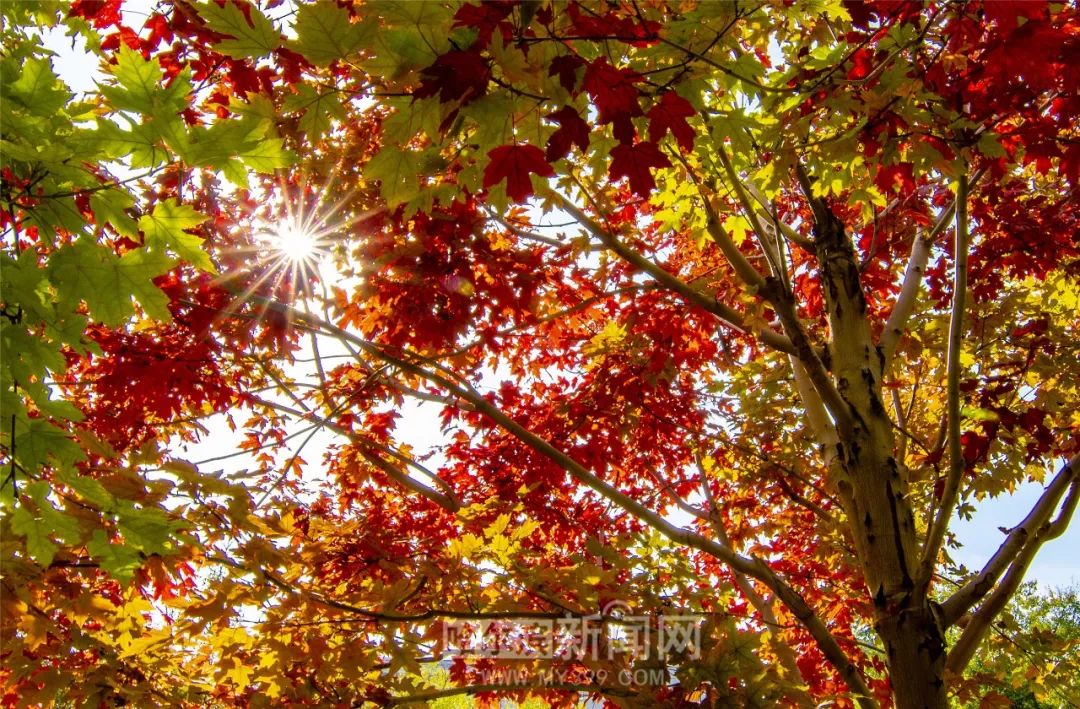 精品国产另类AⅤ一区二区