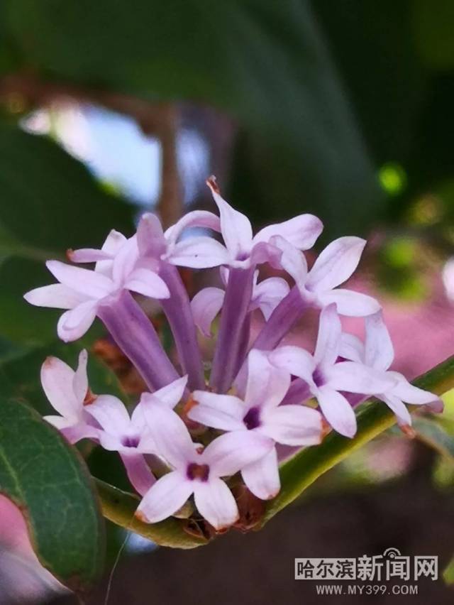 精品国产另类AⅤ一区二区 Ⅴ区区吸引了一批忠实粉丝