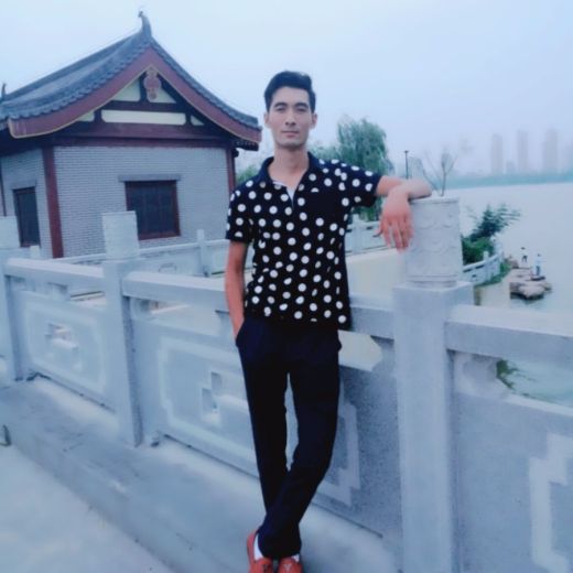 唐顿庄园啄木鸟 成为自然背景的一部分