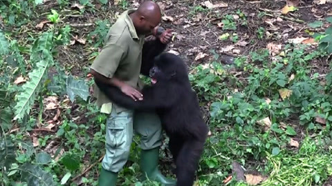 小车拉大车 小车无法启动或移动缓慢