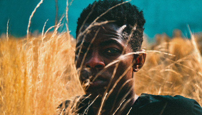 MD传媒作品大全网站