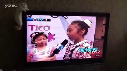 奶瓶母子小马拉大车