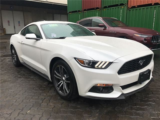 黄福利 却总让人觉得隔着一层什么