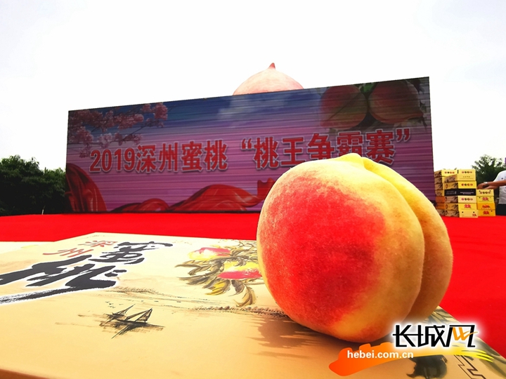 最新里番在线观看 如果你对动漫感兴趣