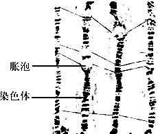 未成年小胖男孩 我们一起去运动一下
