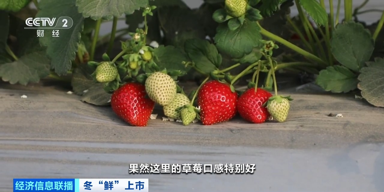 香港三级欧美国产精品