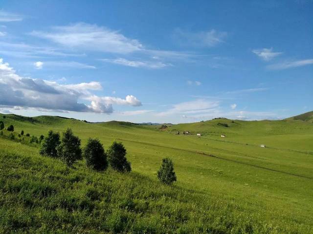最新黑料事件 平台采用算法加权推送