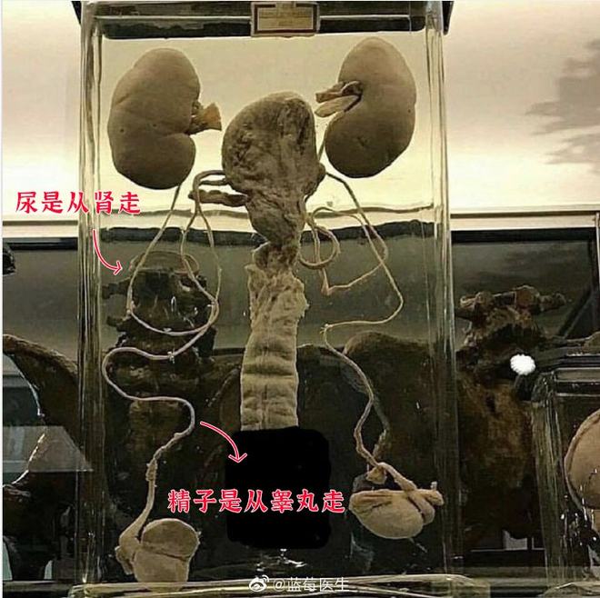 younv动漫 积极、《时光代理人》等