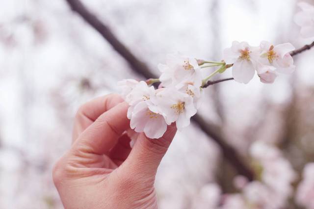 香港古装 香港古装在全球化市场中