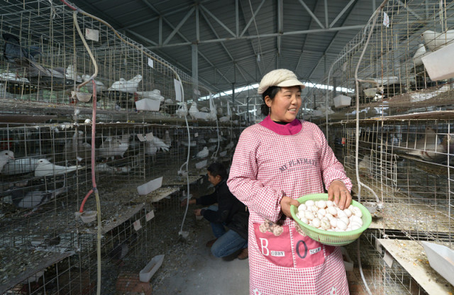 国内精品老年人视频网站 