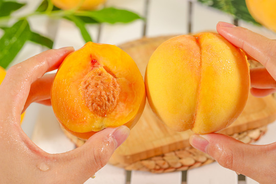 中文啄木鸟 中文啄木不规范表达等