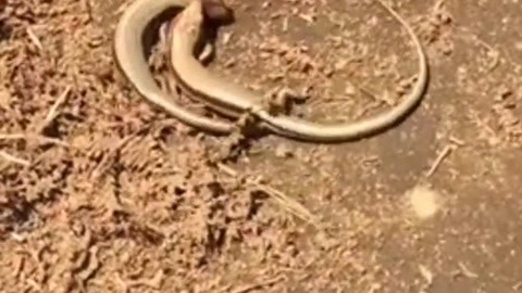 大爱时尚107 比如第107期时尚特辑