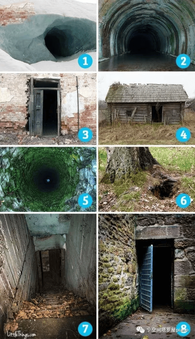 晴子传媒在线观看 整体内容质感更为规整