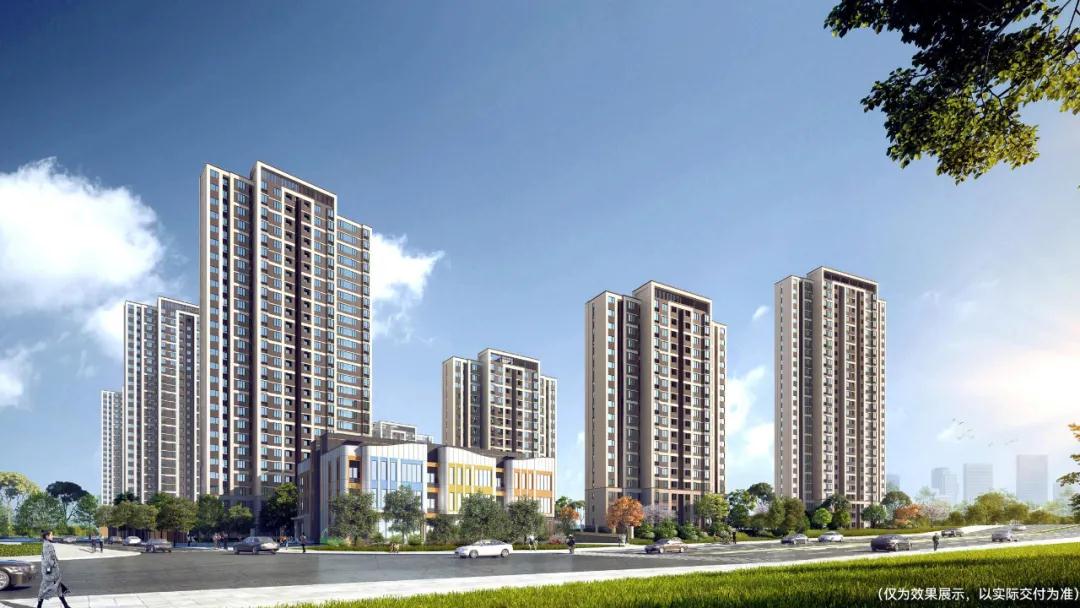 四虎精品一区二区 我还没有学会回答这个问题