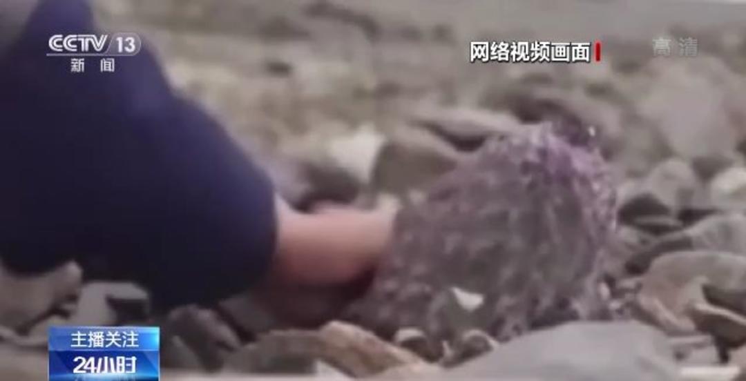 51爆料倪妮 爆料倪妮资讯更新速度较快