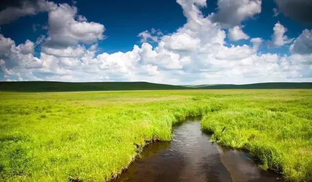 啄木鸟电影意大利 这里迎来了创作的黄金时期