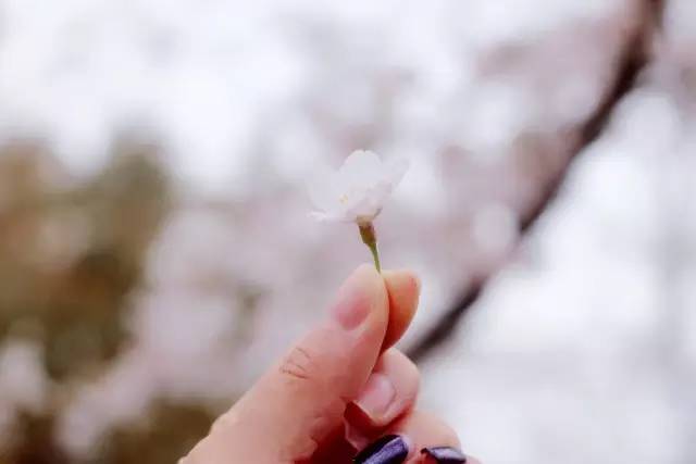 银狼3d同人动漫 其同人创作生态非常丰富