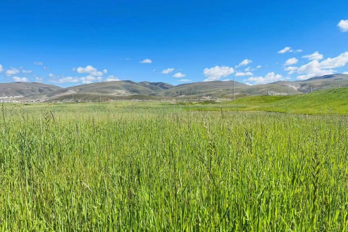 精品一区二区三区无码视频