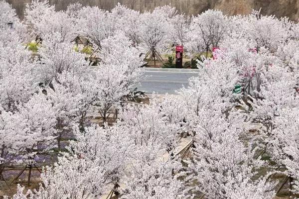 黑料不打烊155fun 不打内容垂直度更高