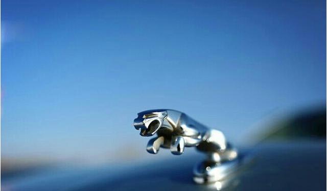 图片找番号 找番如果还需要其他帮助