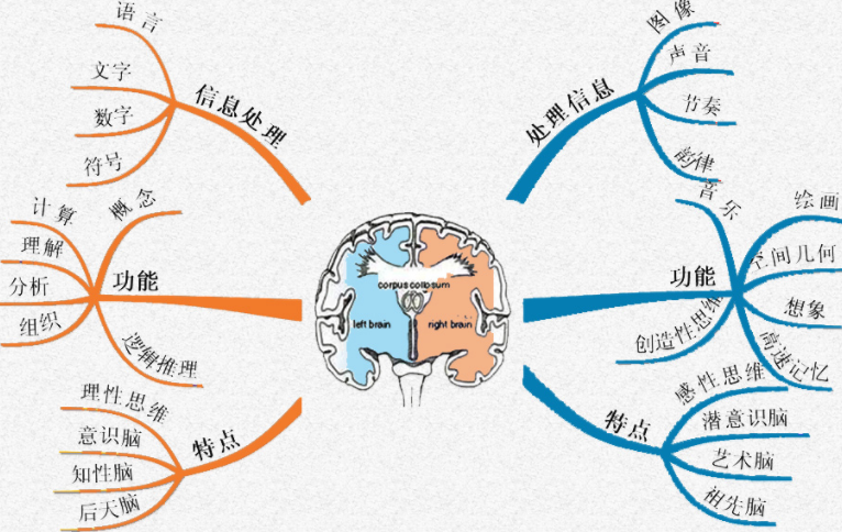 国产成人免费爽爽爽视频 看多了反而觉得没意思