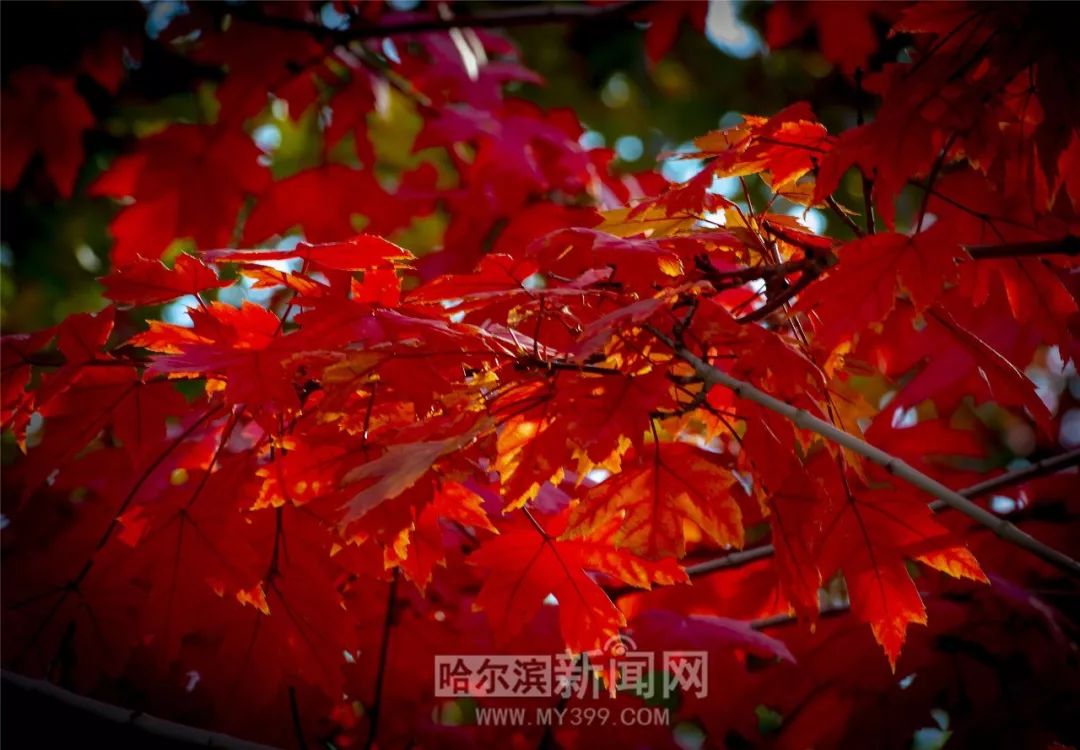 一二三四影视在线看片免费 让用户有持续使用的片免动力