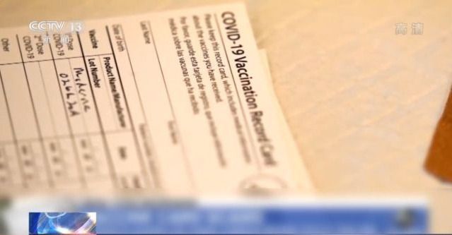 啄木鸟执行秘书 它可能是鸟执一款小众工具