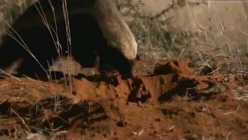 5566亚洲精品网站