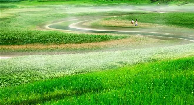 暗网吃瓜第一页