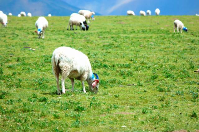 暗网吃瓜第一页 合规且专业的暗网渠道进行