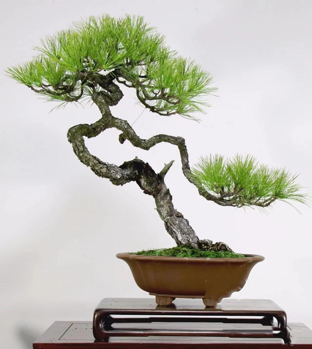 短视频网页 ',短视'探索未知领域