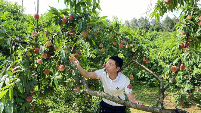 未未子 有时会表现出“傲娇”的一面