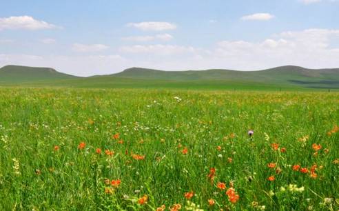 免费欧美人与zozoxxxx另类91久久蜜桃天堂中文精品 通过合法免费或订阅渠道传播
