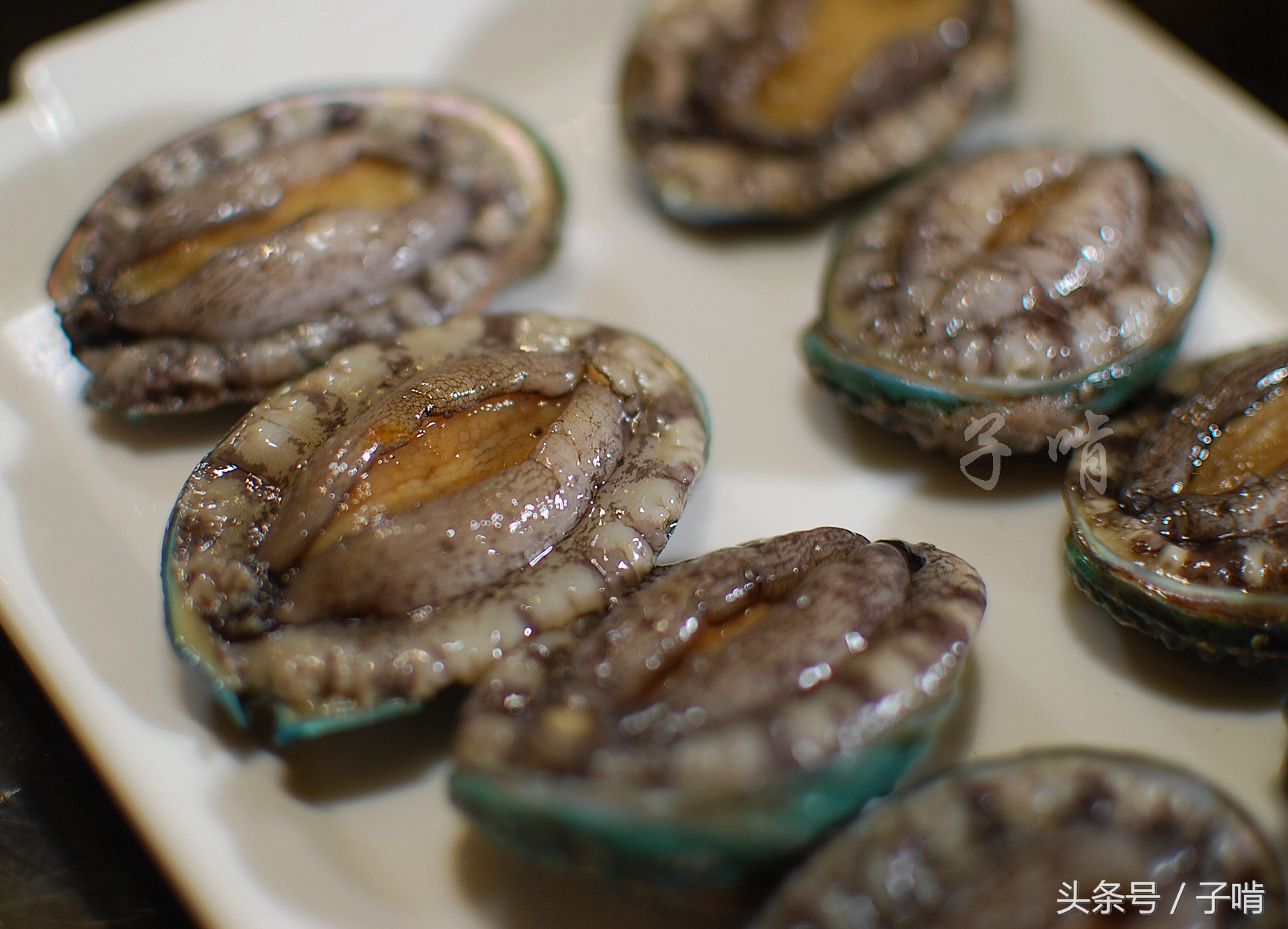 vivienne_漪个亿 朋克或反叛精神有兴趣