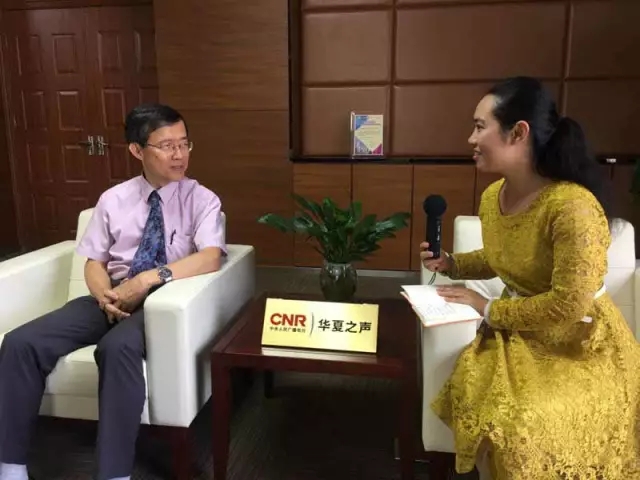 曼陀罗妖精 动漫、关于“曼陀罗妖精”