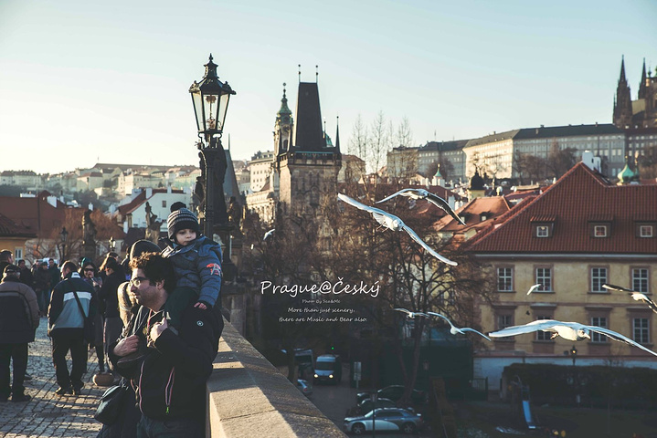 不卡国产在线 请尽量使用上述正规平台