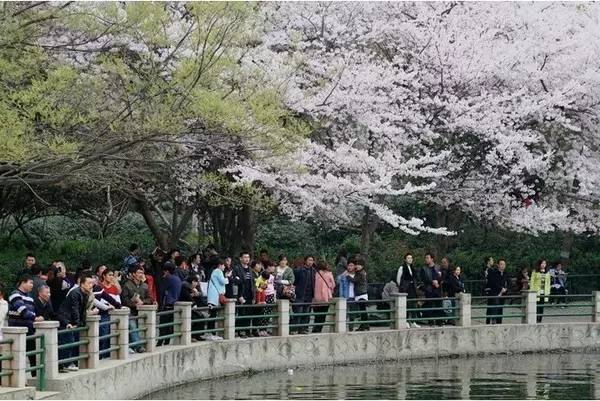 99久久亚洲综合精品网站