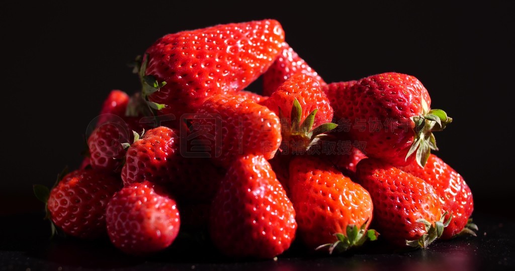 法国啄木鸟剧情