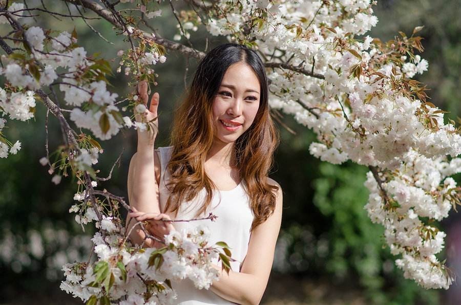 巴士动漫 游览的巴士动漫场景